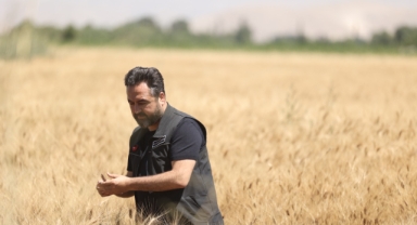 Elbistan’da Belediyesi tarlada buğday üretip, ücretsiz 10 bin ekmek dağıtıyor