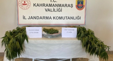 Evinde kenevir yetiştirdi yakalandı