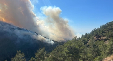Hatay ve Osmaniye’de orman yangını