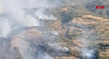 -Kahramanmaraş'ta çıkan orman yangınına müdahale ediliyor