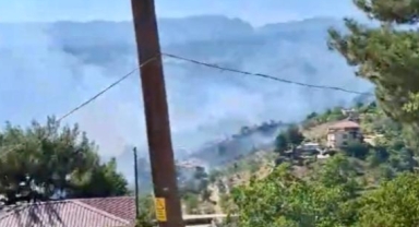 Kahramanmaraş'ta orman yangını