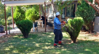 Büyükşehir, Yeşil Alanları Bakıma Aldı