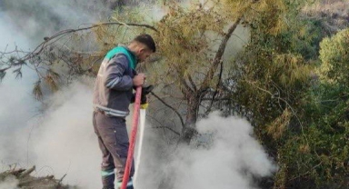 Kahramanmaraş’ta orman yangını