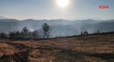 Kahramanmaraş'ta orman yangını kontrol altına alındı
