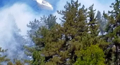 Kahramanmaraş’ta orman yangını kontrol altına alınmaya çalışılıyor