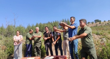 KINALI KEKLİKLER DOĞAL YAŞAM ALANINA BIRAKILDI