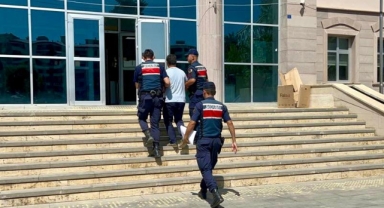 Orman yangınına semaverden sıçrayan ateş neden olmuş