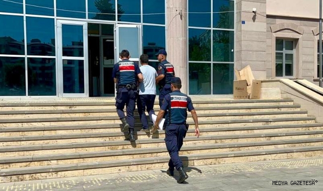 Orman yangınına semaverden sıçrayan ateş neden olmuş
