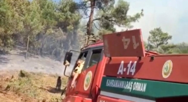 Türkoğlu’nda orman yangını