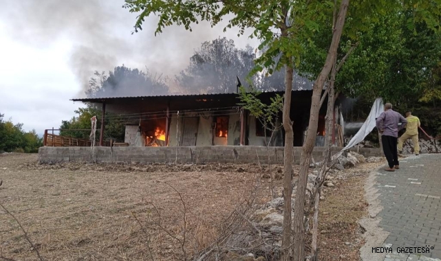 Depremzede ailenin konteynırı çıkan yangında kül oldu