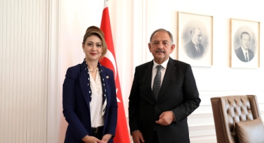 “Orta Hasarlar İçin Son Umut.”