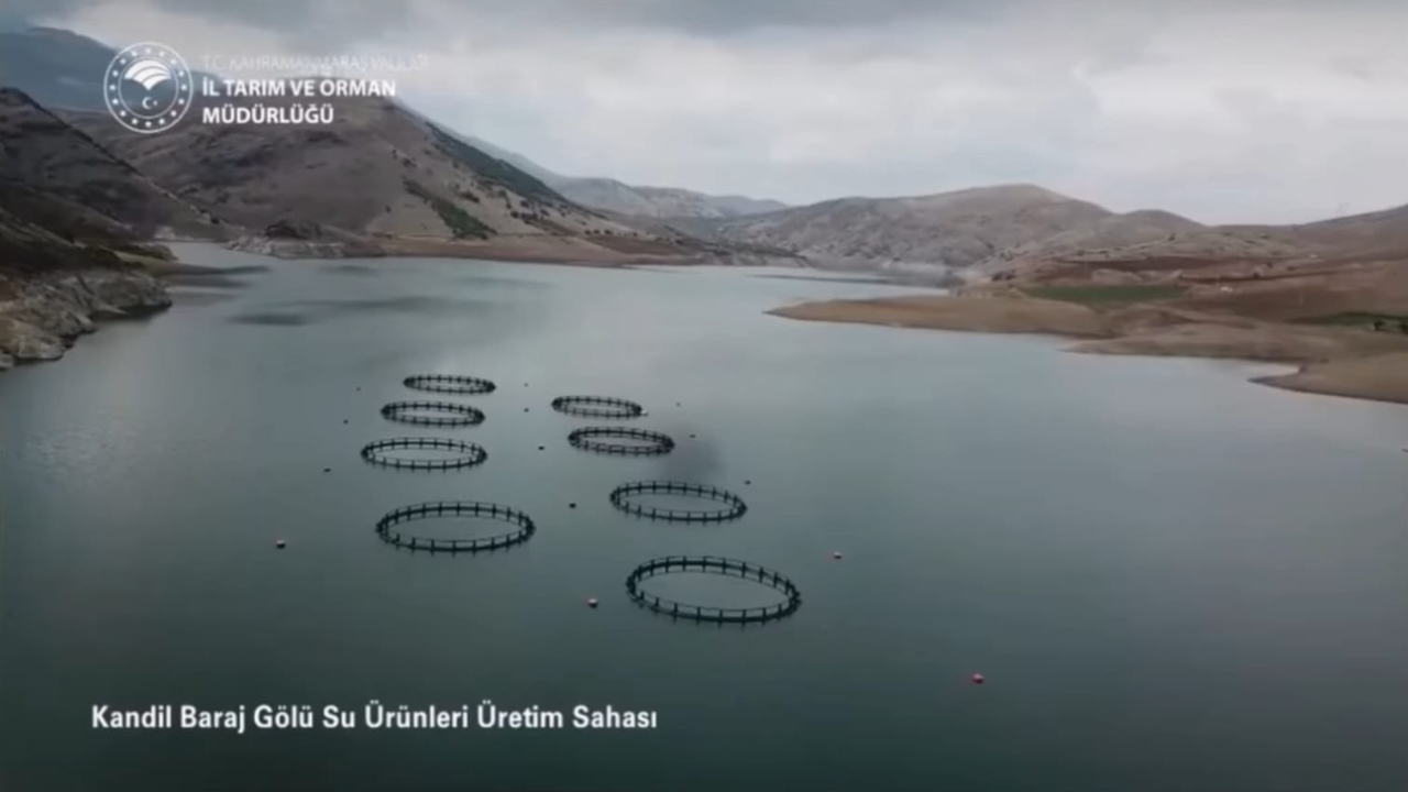 Kahramanmaraş’ta yıllık üretimi 17 bin tona ulaştı