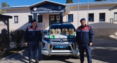 Konteyner kentte beslelenen kınalı kekliklere el konuldu