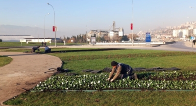 Büyükşehir, Kent Estetiği İçin Sahada