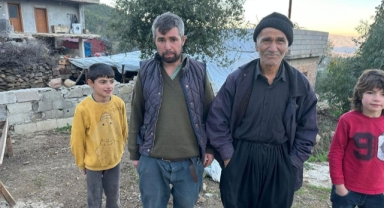 Kurt sürüye daldı küçükbaş hayvanları telef etti
