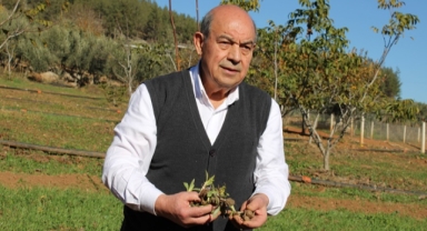 MADO Salep Üreten Çiftçiden 10 yıl alım garantisi