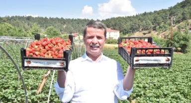 Bizim buralara yağmur yağdığı zaman, “BEREKET” yağdı denir.