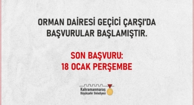 Orman Dairesi Geçici Çarşı’da Başvurular Başladı!