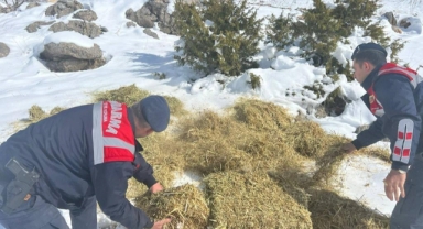Jandarma doğa hayvanlarını unutmadı