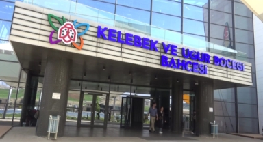 Kahramanmaraş’ta kelebek etkisi