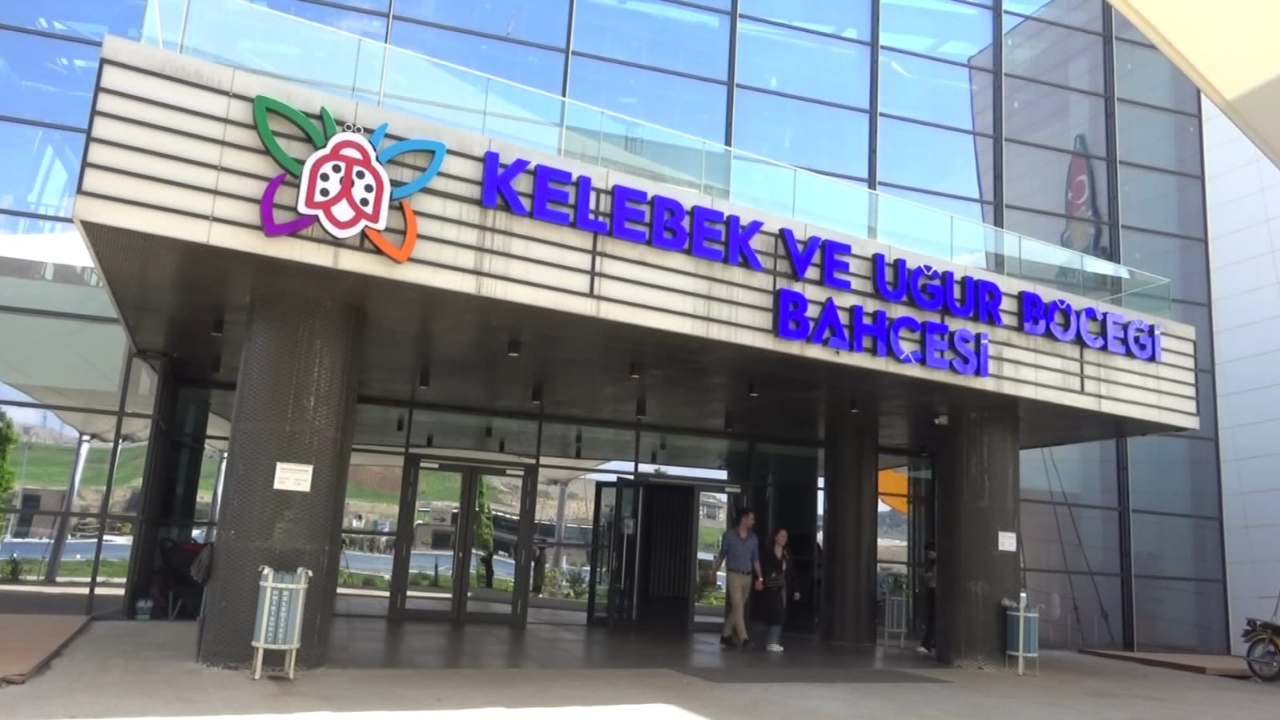 Kahramanmaraş’ta kelebek etkisi