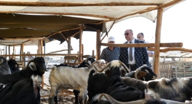 BAŞKAN AKPINAR, KURBAN SATIŞ YERİNİ ZİYARET ETTİ