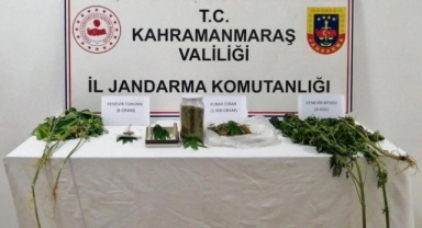 Kahramanmaraş’ta evinin bahçesinde kenevir yetiştirdi yakalandı