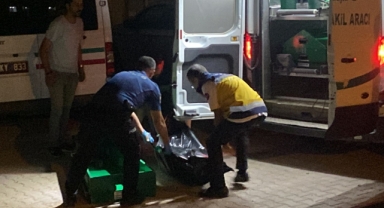 Kahramanmaraş'ta Kadın, Erkek Arkadaşını Bıçaklayarak Öldürdü