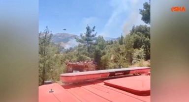 -Kahramanmaraş’ta orman yangını