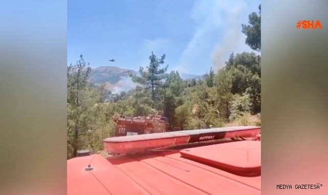 -Kahramanmaraş’ta orman yangını