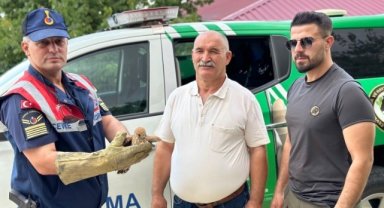 Kahramanmaraş’ta yaralı Kerkenez Kuşuna jandarma şefkati