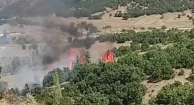 Ekinözü'nde Orman Yangınına Müdahale Ediliyor
