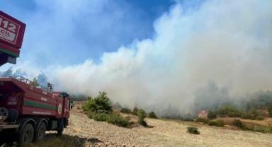 Kahramanmaraş'ta orman yangını