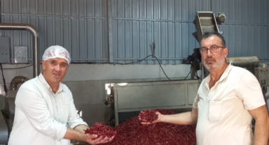 Kahramanmaraş’ta Acı Biberiyle Dans Ettiren Fabrikayı Gezdik