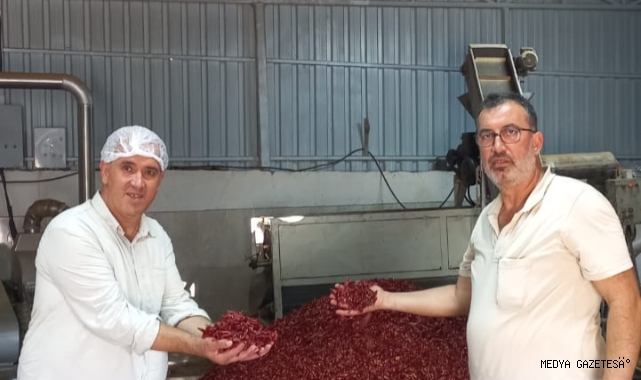 Kahramanmaraş’ta Acı Biberiyle Dans Ettiren Fabrikayı Gezdik
