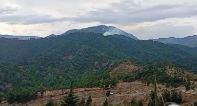 Kahramanmaraş’ta orman yangını