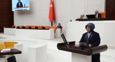 DEPREM İLLERİNDE YAPILAN ÇALIŞMLAR HAKKINDA GENEL KURUL KONUŞMASI