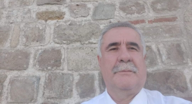 TAŞLAR VE AĞAÇLAR