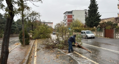 Büyükşehir Ekipleri Sahada