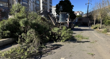 Büyükşehir, Fırtınanın Oluşturduğu Tahribatı Ortadan Kaldırıyor