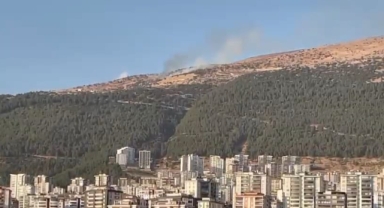 -Kahramanmaraş’ta orman yangını