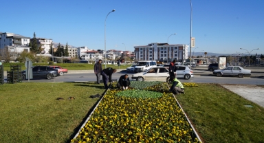 Büyükşehir, 500 Bin Mevsimlik Çiçeği Toprakla Buluşturuyor