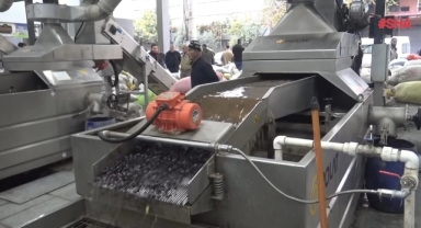 Kahramanmaraş’ta Deprem Sonrası 15 Bin Ton Zeytinyağı Üretildi