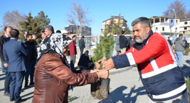Afşin’de Yeşil Seferberlik: 100 Bin Fidan Dağıtıldı