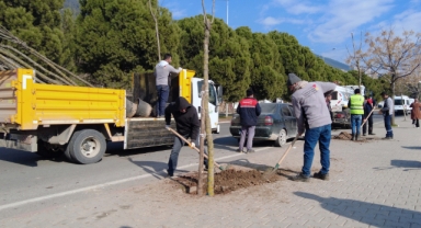 Büyükşehir, Şehirde Yeşil Dönüşüm Başlattı