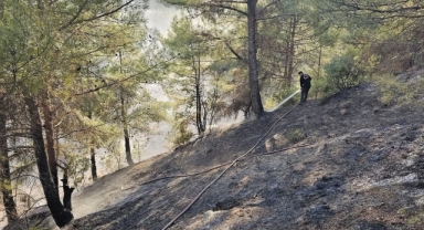Kahramanmaraş’ta orman yangını