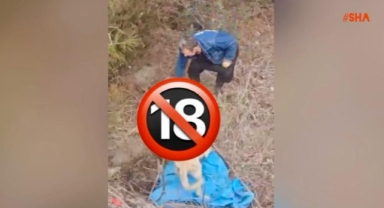 Andırın’da Toplu Köpek Ölümleri Tepki Çekti