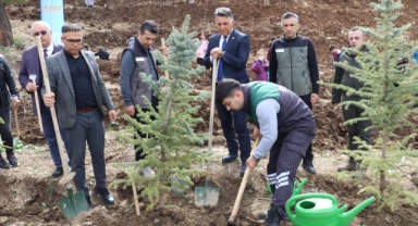 6 Şubat Deprem Şehitleri Anısına Fidan Dikim Etkinliği Gerçekleştirildi