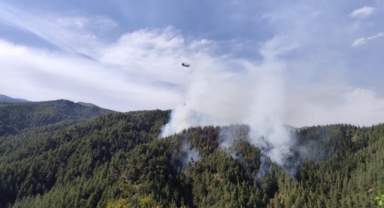-Kahramanmaraş’ta orman yangını