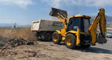 Büyükşehir, Şehri Hayvansal Atıklardan Temizliyor